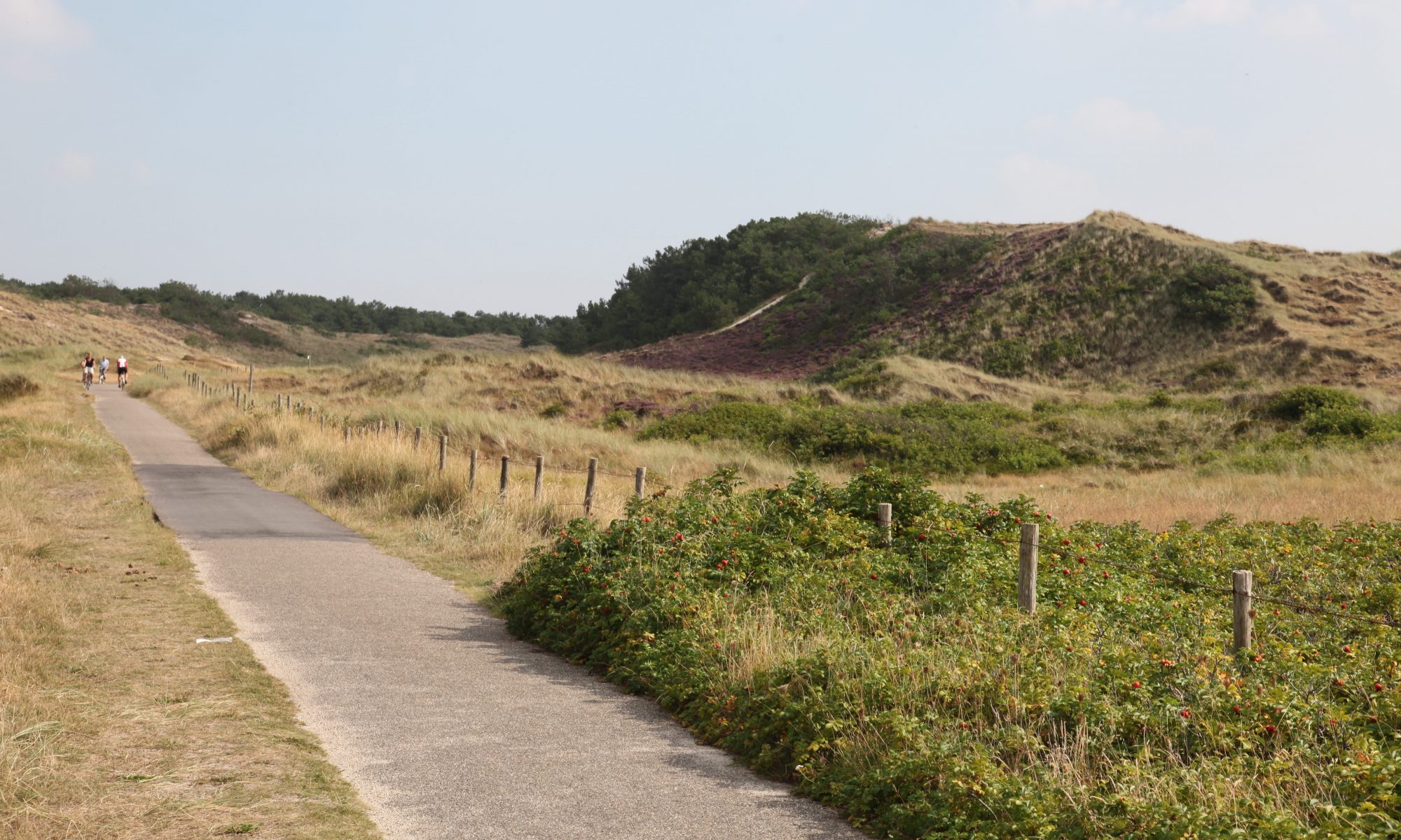 Vakantiehuis aan de kust